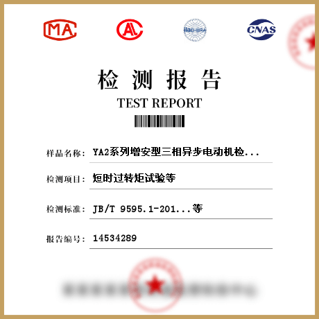 YA2系列增安型三相異步電動(dòng)機(jī)檢測