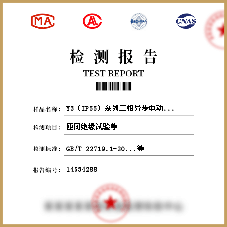 Y3（IP55）系列三相異步電動機檢測